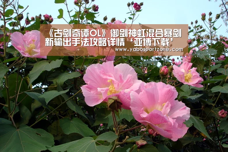 亚博赛事