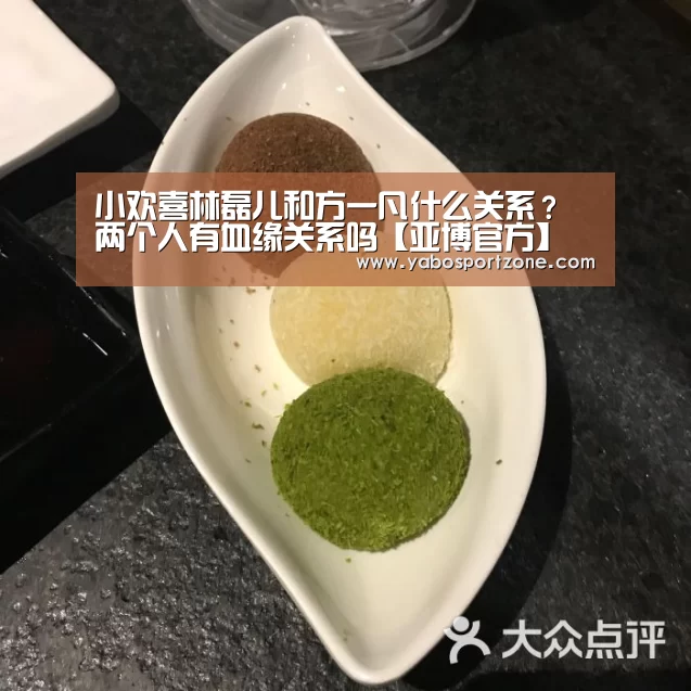 小欢喜林磊儿和方一凡什么关系?两个人有血缘关系吗【亚博官方】(图1) 亚博赛事