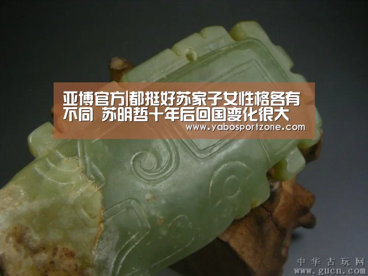 亚博官方|都挺好苏家子女性格各有不同 苏明哲十年后回国变化很大(图1) 亚博下载