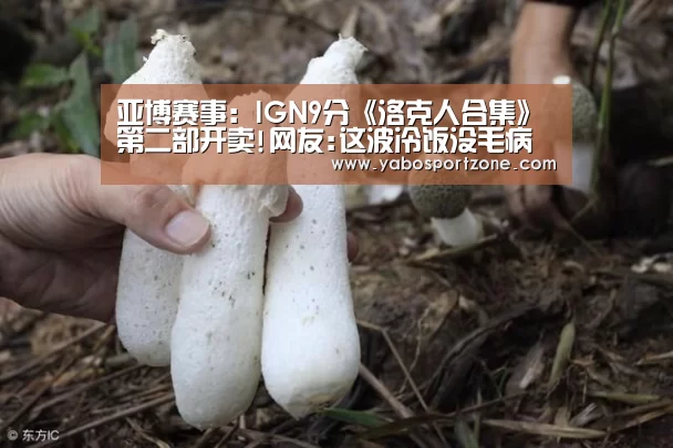亚博赛事:IGN9分《洛克人合集》第二部开卖!网友:这波冷饭没毛病(图3) 亚博官方