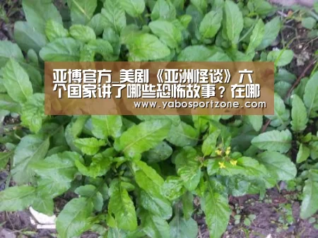 亚博官方_美剧《亚洲怪谈》六个国家讲了哪些恐怖故事?在哪看?(图2) 亚博官方